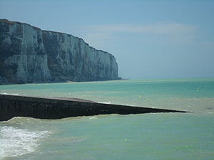 Rapatrier en France une société située dans un paradis fiscal